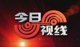 爆料今日视线,揭秘娱乐圈最新热点事件