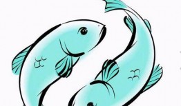 双鱼视频吃瓜免费,揭秘吃瓜免费背后的秘密