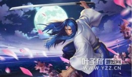 王者李耀爆料视频大全,揭秘游戏幕后精彩瞬间