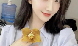 张婧仪贴吧爆料视频合集,揭秘明星幕后故事