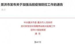 云南核酸最新爆料,揭秘疫情背后的真相与挑战