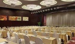 龙禧饭店爆料视频,内幕细节大曝光