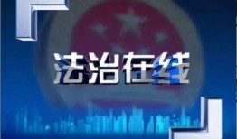 法治在线在线观看,权威解读，在线观看法治盛宴