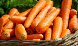 李韶姬胡萝卜在线观看,在线观看，探寻美食与生活的完美融合