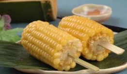 速食玉米爆料视频播放,视频播放量惊人，真相令人震惊！