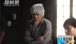 猎豺狼在线观看央视网,央视网独家呈现的惊险悬疑大剧