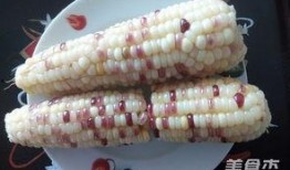 速食玉米爆料视频播放,视频播放量惊人，真相令人震惊！