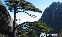 黄山同城最新爆料新闻,揭秘黄山同城热点事件背后的真相