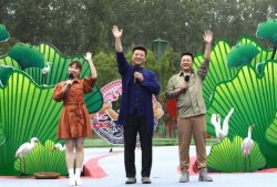 梅尔文最新爆料新闻视频,最新爆料新闻视频深度解析