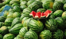 免费吃瓜渠道在哪找