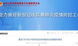 云南核酸最新爆料,揭秘疫情背后的真相与挑战