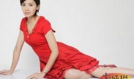 贾静雯前夫 爆料新闻,揭秘婚姻内幕与情感纠葛