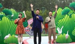 虎帅最新爆料视频大全下载,揭秘幕后真相，带你领略娱乐圈风云变幻