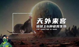 天外来客在线观看,穿越星际的神秘之旅