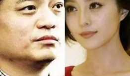 娱乐圈大爆料神评论,神评论揭露明星幕后真相