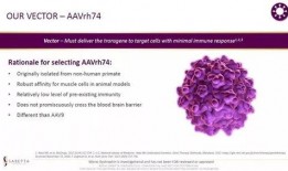 dmd最新爆料,揭秘神秘项目，行业变革即将到来！