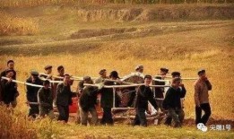 见棺发财电影在线观看1,揭秘生死边缘的财富传奇