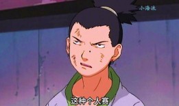 鹿丸小豪爆料视频大全集,揭秘幕后真相与精彩瞬间