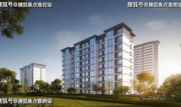 宝龙爆料最新消息,揭秘行业动态，洞察未来趋势