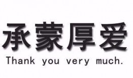 凯凯承蒙厚爱最新爆料,揭秘幕后故事与精彩瞬间