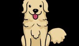 动漫小狗视频在线观看,动漫小狗视频在线狂欢时光