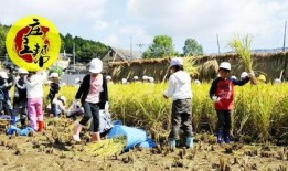 广州农庄爆料案件最新,揭开背后惊人真相