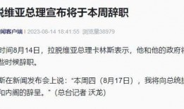 圈内辞职爆料怎么写,深度剖析离职背后的真相