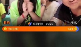 女子爆料离婚视频大全,揭秘婚姻背后的真相与挣扎