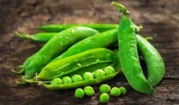 豆叮来了免费吃瓜,免费吃瓜盛宴等你来享！