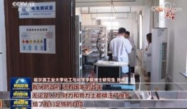 海洋最新爆料消息新闻联播,新闻联播聚焦海洋生态保护与可持续发展