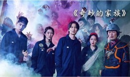 奇妙的家族在线观看,穿越时空的亲情之旅