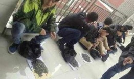 网友爆料金碧学校事件视频,校园冲突引发社会关注