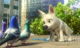 动漫小狗视频在线观看,动漫小狗视频在线狂欢时光