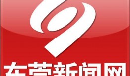 东莞社会新闻爆料网站官网,聚焦热点事件，解码城市脉搏