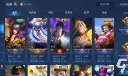 王者爆料最新皮肤100