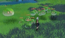 原神草神爆料视频大全