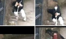 网友爆料金碧学校事件视频,校园冲突引发社会关注