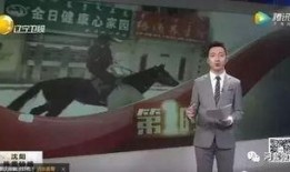 小马哥爆料视频