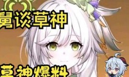 原神草神爆料视频大全