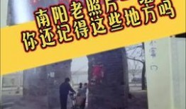 南阳头条最新爆料,最新爆料事件深度解析