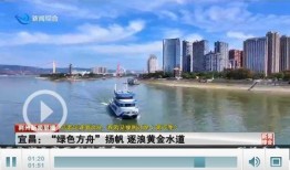 宜昌爆料新闻,揭秘当地热点事件背后的真相