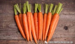 李韶姬胡萝卜在线观看,在线观看，探寻美食与生活的完美融合