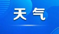 地方新闻爆料电话号码,一号码串联民声与正义