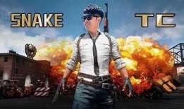 多位吃鸡爆料博主视频下载,揭秘知名博主视频下载背后的秘密