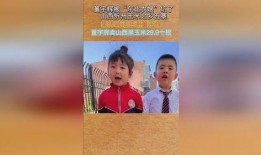 东北农嫂爆料董宇辉视频,揭秘网红背后的故事”