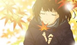 红叶带土爆料视频,视频爆料背后的惊人真相