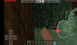 我的世界新皮肤爆料最新,揭秘Minecraft新皮肤爆料
