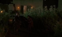 bible在线观看,探索古老智慧的数字之旅