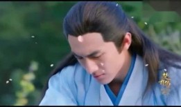 谁爆料的赵丽颖最美视频,揭秘网友热议的惊艳视频