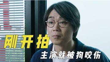 娱乐吃瓜y君